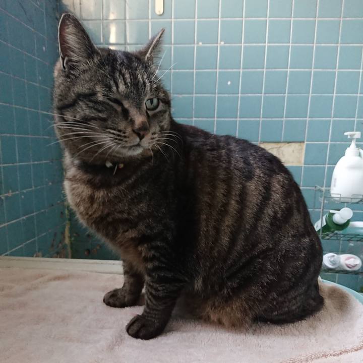 07114ec4 dc61 4b62 adce 0c9e42adf462 1650185421553