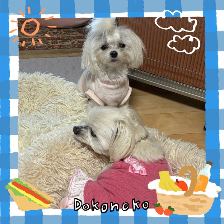 07116226 113b 411a 8792 a9b561b4b389 1744792945338