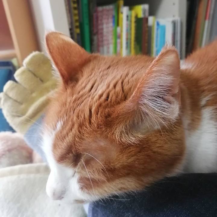 071166ee f0f6 47c6 b823 8f0a417ff39f 1621403095464