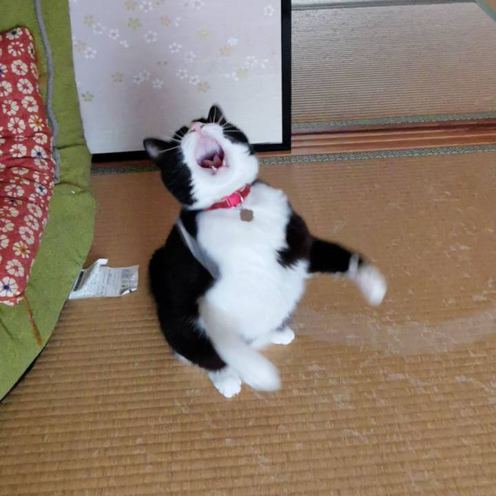 07116eb2 fde8 47d9 aed9 f0bb80717c02 1625458727994