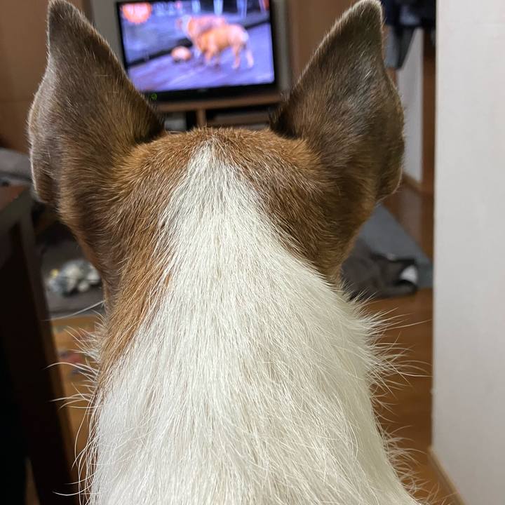 07118aba ee34 4d5e b542 42117da86a12 1663198425420