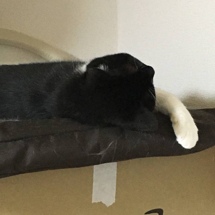 0711967d 3c0f 47fb acdd 5158f5d335fc 1566757531317