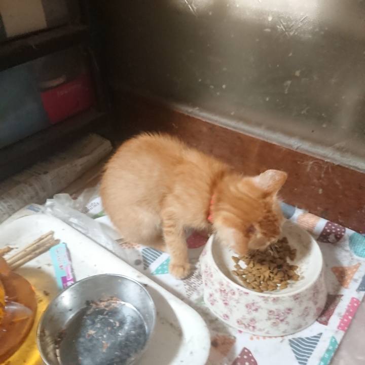 0711b0fd 2f06 4144 87b6 da45d755ba1d 1629151979408