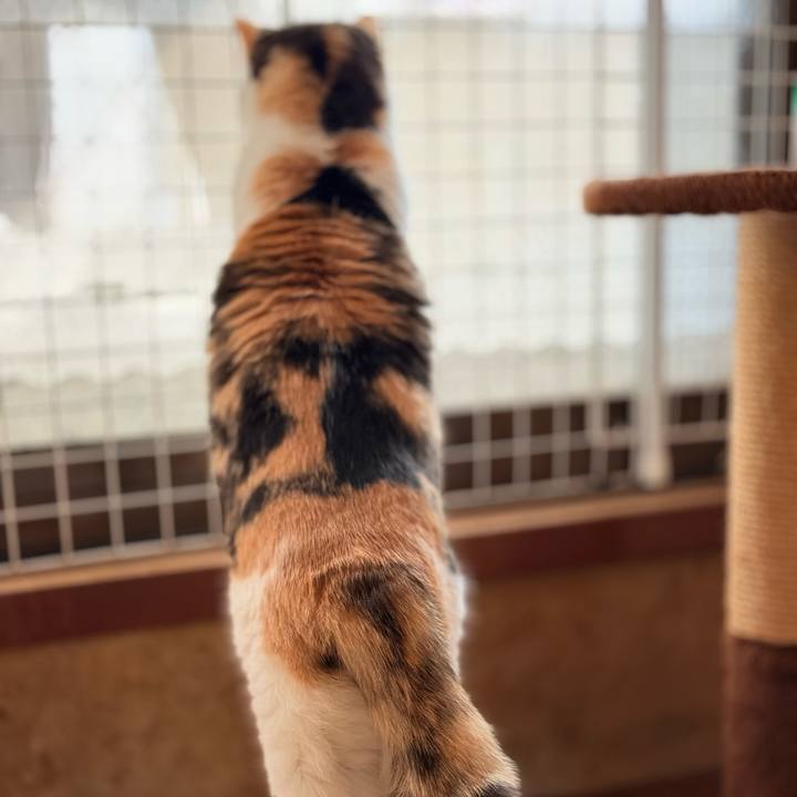 0711d45f 5c06 4eda bb46 507044d2b2ab 1742783763155