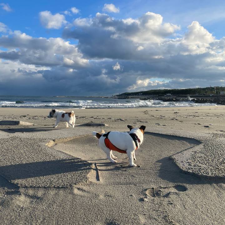 071238fe 7c8d 4d30 a025 552aa1d47ec9 1699834853957