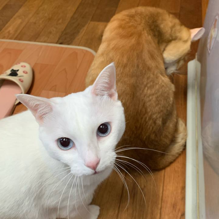 0712487d bcff 4be5 b0d8 9a4017fd783d 1603278889922