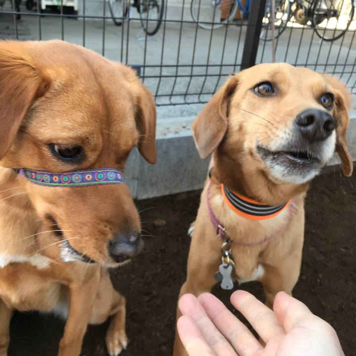 0712613e c51c 4e64 8d0e 38ed47ebba37 1520045441164