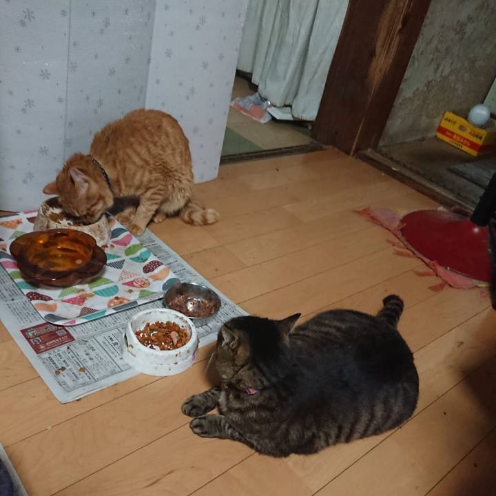 07127b2b 8d2f 4468 9c5d d5a1e5104a94 1653877878930