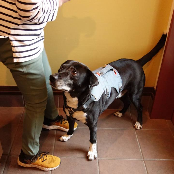 07128291 56e6 4de4 9e78 03d67970ec20 1746056754996