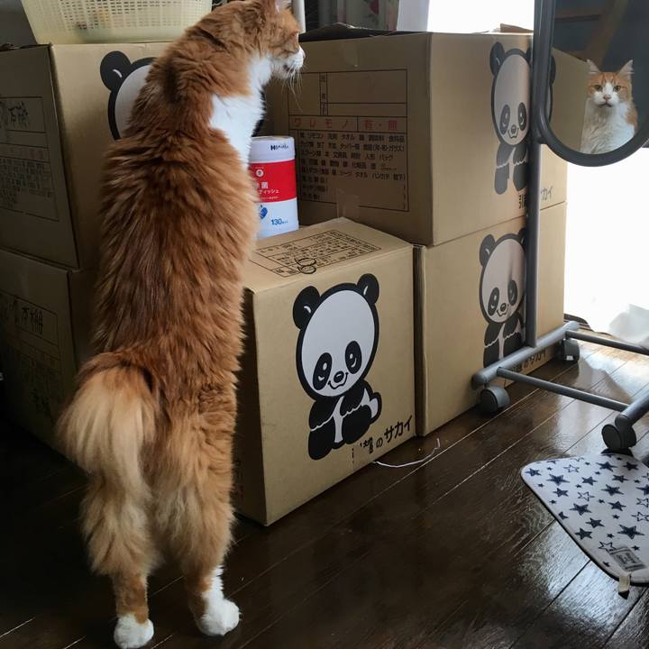 07128307 f1ef 4d3d 8cc1 fb01d321b1fa 1567735599817