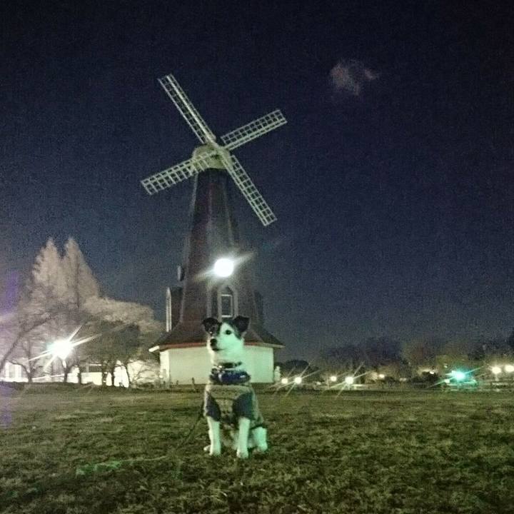 071290e8 c9f1 414d 93d0 8a0e8cd751c2 1517916090987