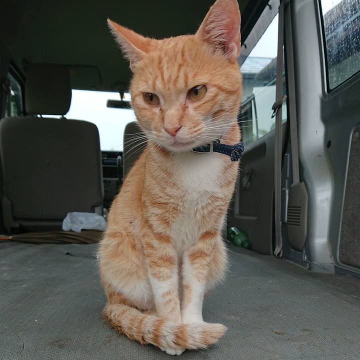 0712a4ee 5b06 402f a67f 259c5736f45c 1563568183074