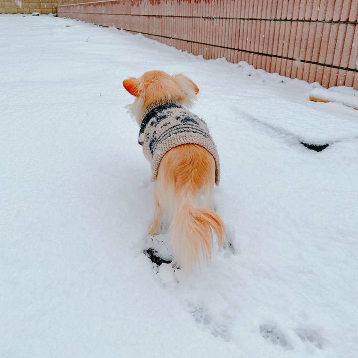 0712b5f9 41f7 4ea3 83d6 07da24432f2d 1641458003896