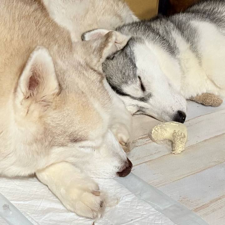 0712ea75 2f52 4af6 91be 3ecfb0480069 1763820441443