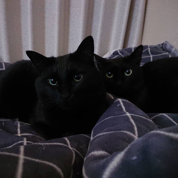 071323cc 7426 4816 b8ca cc09b04d20ed 1683594612149