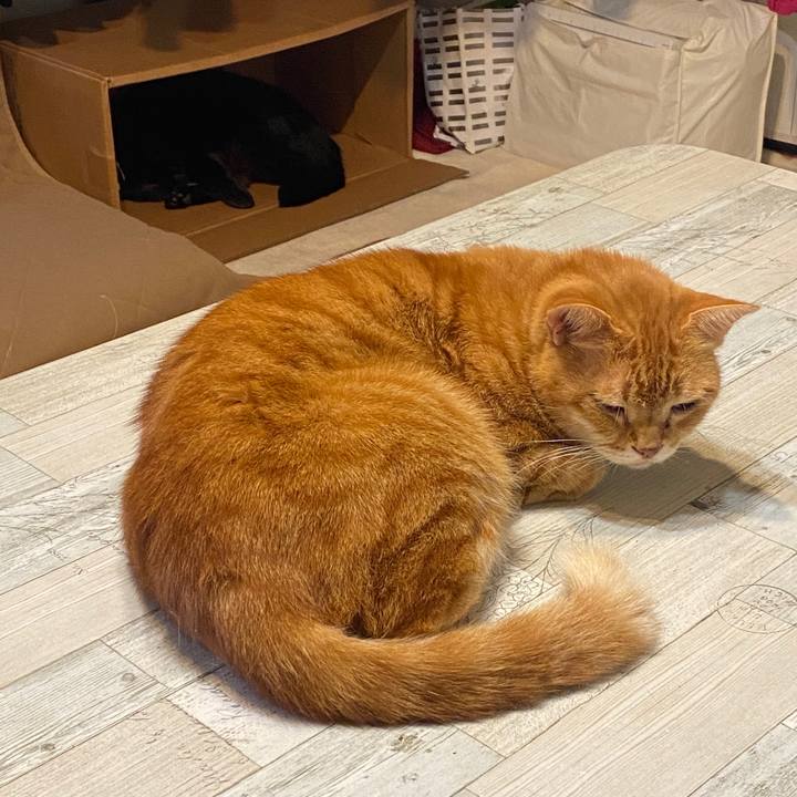 071325aa 4693 4e44 af02 d4c10cd3172a 1602043161124