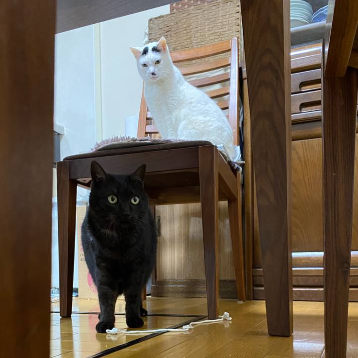 071336e7 7bfa 4f9a aca8 e23e238c9d15 1642849169849