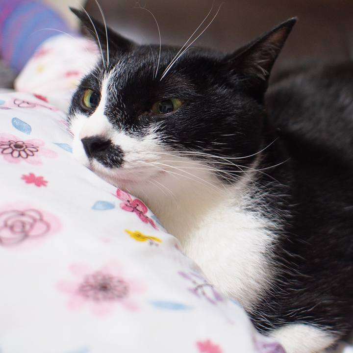 07133f13 dafb 4dd5 909c 1fe67fc5cdfa 1533453653246