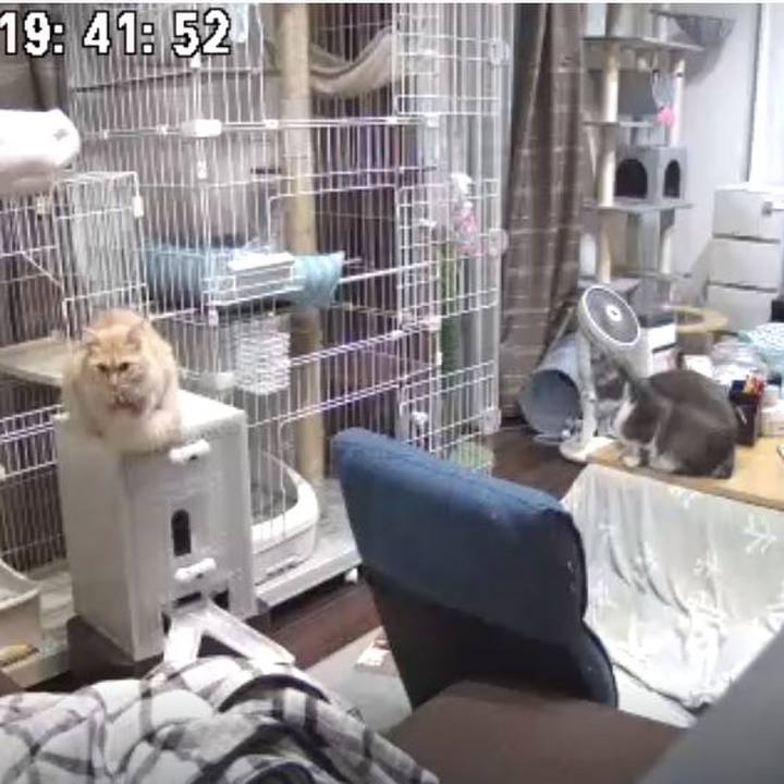 0713596d 14bf 4945 b3a6 49bc661636f0 1700131377937