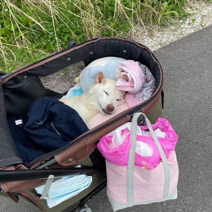 07135a47 b62c 4ab3 9b17 5149deb864db 1679479507759