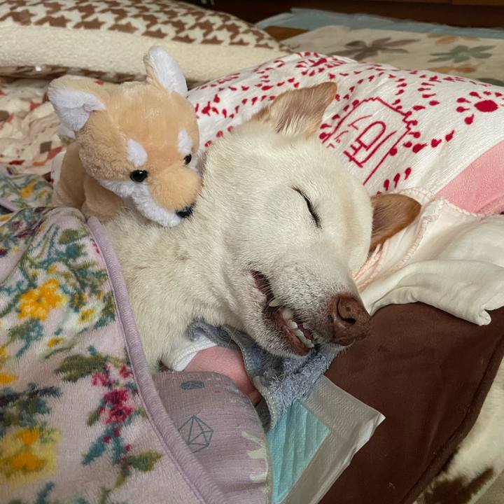 071376dc 1cd2 488f bed1 98a16b0dc494 1679022531104