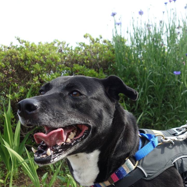 0713f512 f828 4fb5 8153 d722c4c4adf1 1651800078194