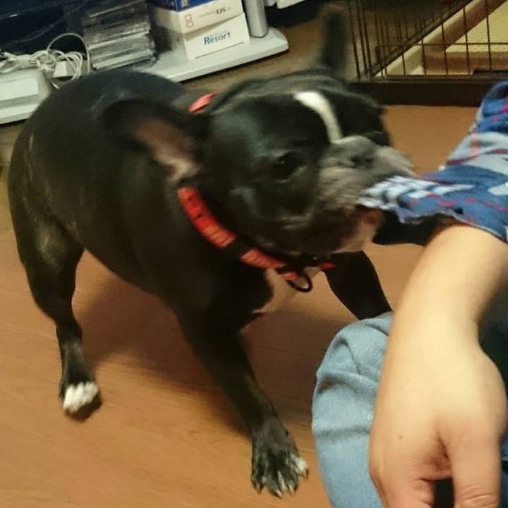 07140a6f 8563 4caf a925 6347cc050e30 1508419502766