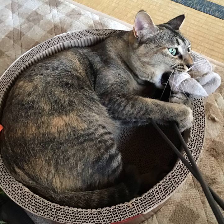 07140e6c 1a3d 499f aca8 31ac5e57cb42 1607649489650