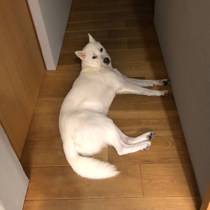 0714176e ebc6 4a9c a5f0 0b643542874f 1565350076572