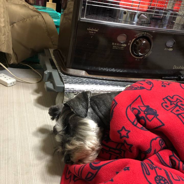 07145f81 4ffc 45d3 a862 b5908d9e667d 1613563005396