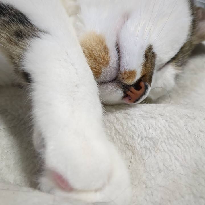 07146bff 6305 4047 b9bf fddc9f27646f 1685330163164