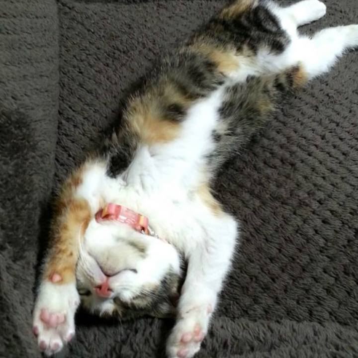 07148458 186d 466f 9c29 0f66e4a48499 1686819083541