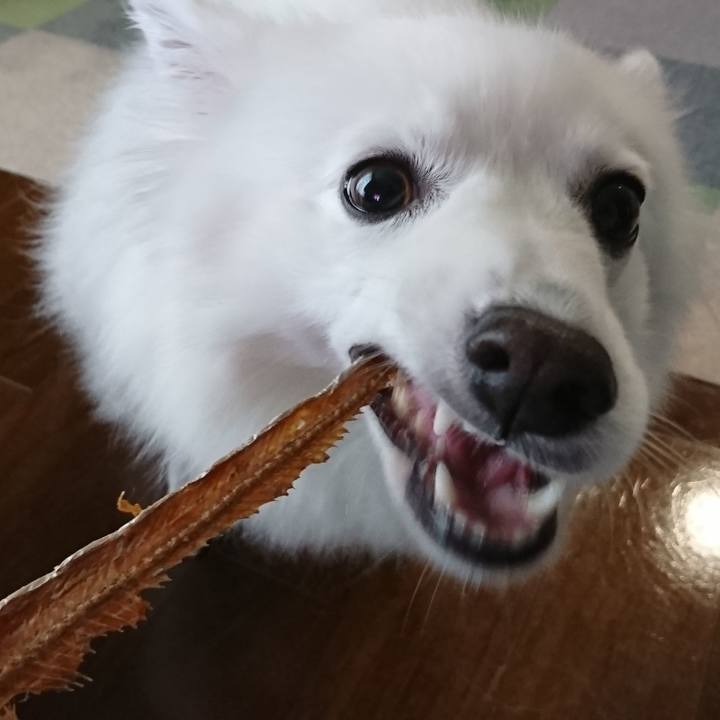 07148841 a4c6 4e48 95fc 2d8895d445a4 1600496794162