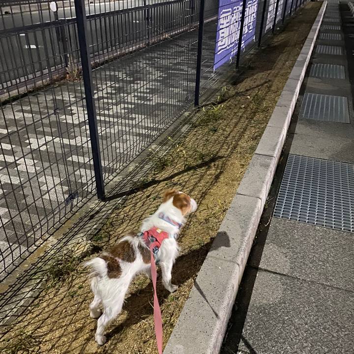 0714a5b0 303b 4c07 b041 c8c29057fc34 1734873946864