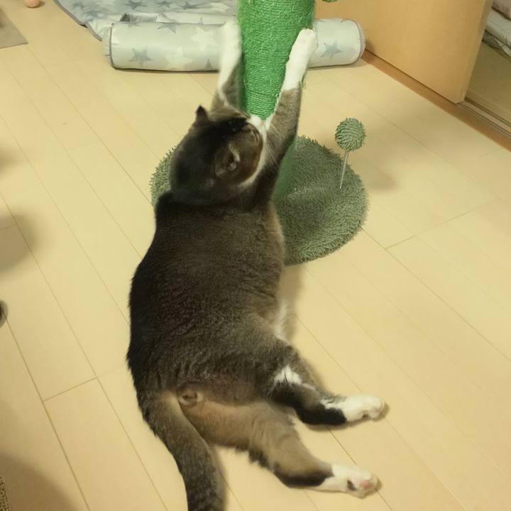 0714b531 ff07 4fc5 8b16 6a23a64bcac6 1697203122199