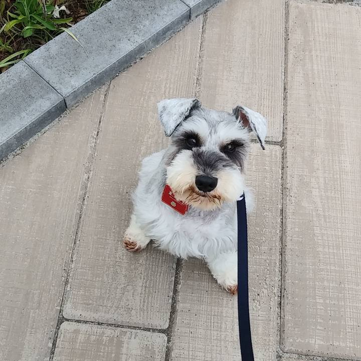 071504f3 cada 43c9 bdef 7dc280e69257 1557354744275