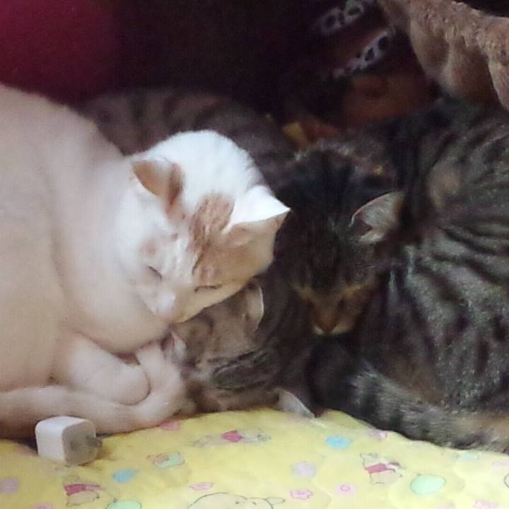 07151694 cefc 4fdf a4a2 4da8164ec5b4 1547134667024