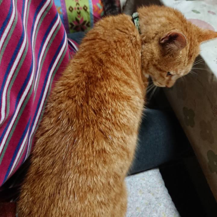 07152274 336b 4f34 9453 49c56ff7adbd 1585308927668