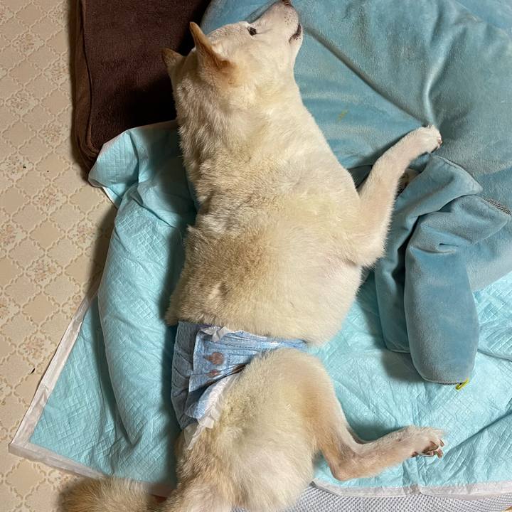 07152945 c293 4010 8da7 d8ebb43ab6fe 1662031619737