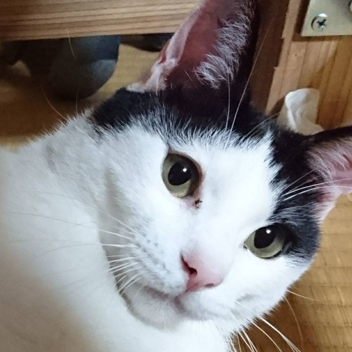 071561c3 0b78 42a6 b22d 97369c9b1da6 1525175846203