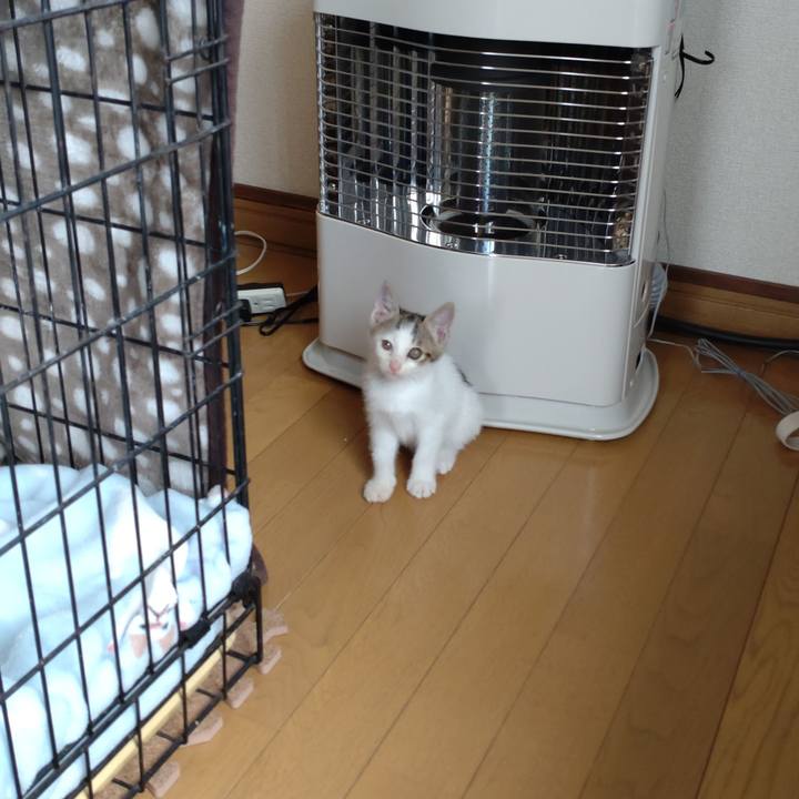 07158e4a f985 4e64 93ec 51b525e1cf10 1693016119000