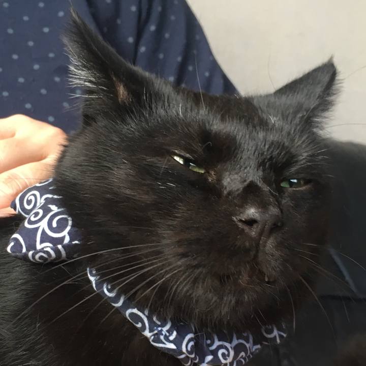 0715afaa df8a 47ba afce 7cf9df6ce252 1537739526038