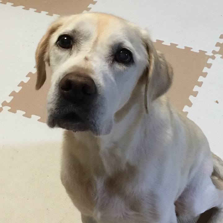 0715c24a 72de 4880 801e 08ad5ad3d937 1565706186243