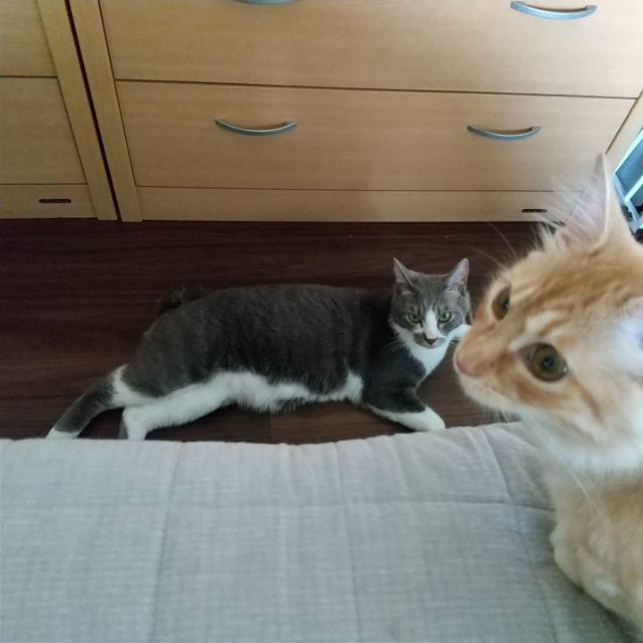 07160a78 e101 418b 9b3f 1a61031c926c 1617491529950