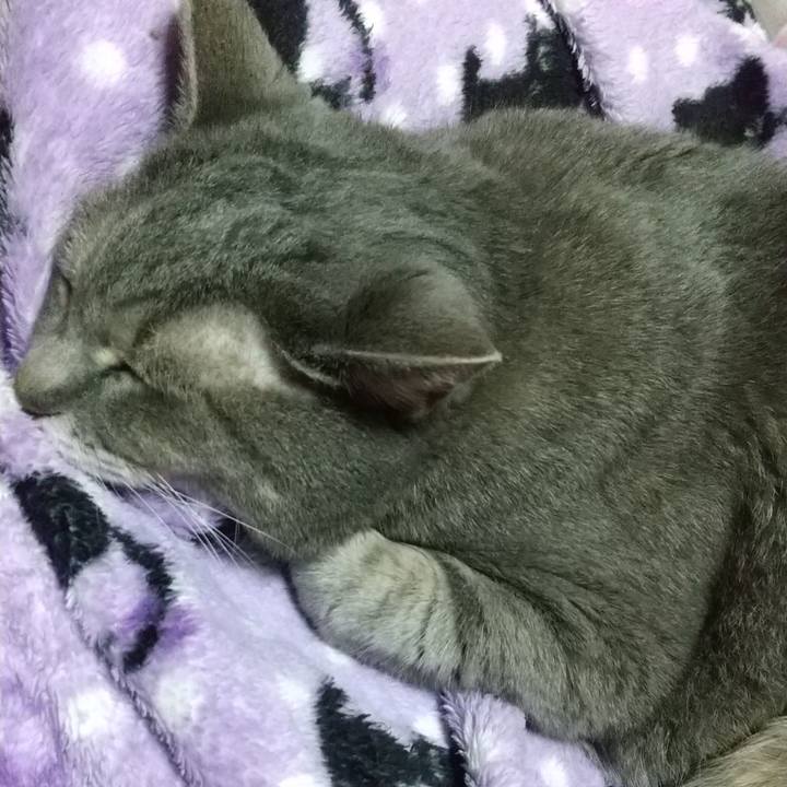 07163544 6446 471a ba5d c6eda99c8317 1636322029534