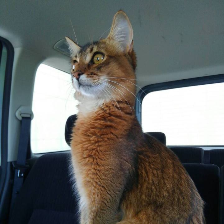 07164242 ae02 4ddf 9109 f4e0858f7b39 1565581075634