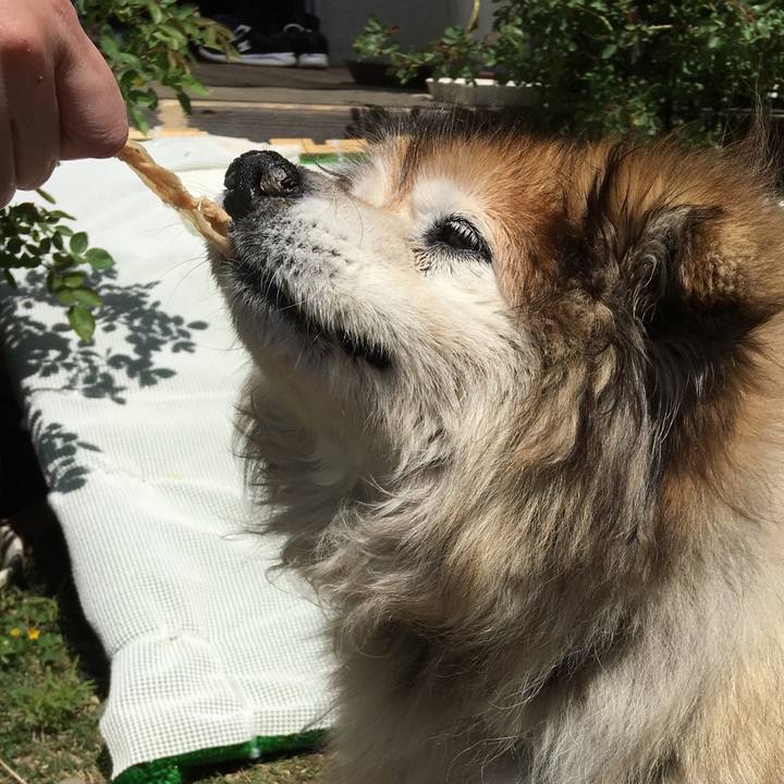 07164404 c10e 47fb ac46 25f227e04b1d 1596650445424