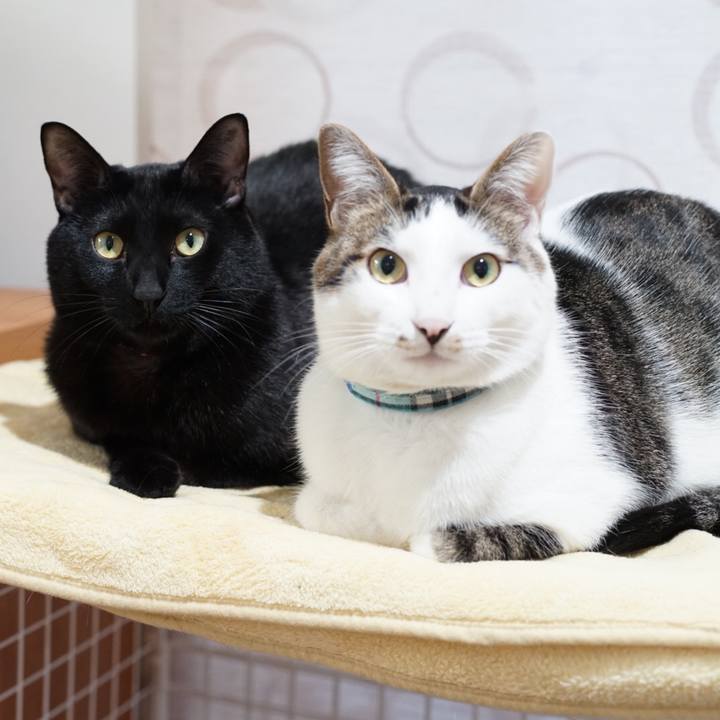 0716647d ae29 470c 9794 1fad3335c30e 1515540595341