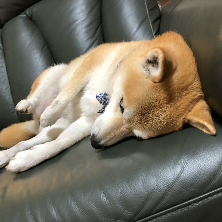 0716bfb6 a063 4d42 a620 55df1e427d79 1598446164826