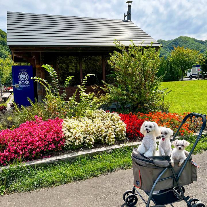 0716dce7 2b25 436d 9342 55684f625d3f 1663406656856